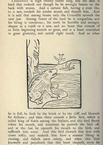 Reproducción/Reproduction 5999145974: Natural history in Shakespeare's time London :E. Stock,1896