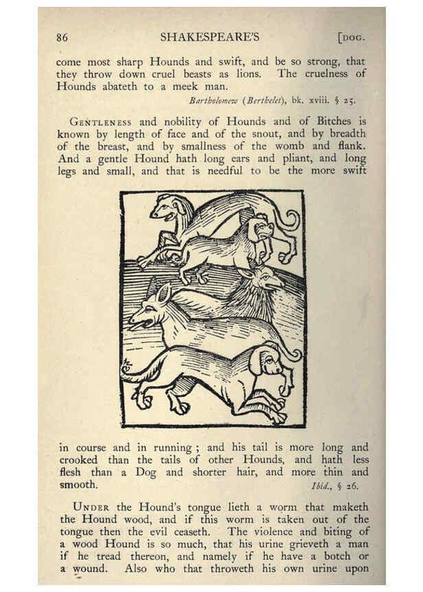 Reproducción/Reproduction 5998604531: Natural history in Shakespeare's time London :E. Stock,1896