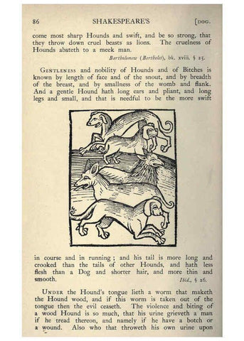 Reproducción/Reproduction 5998604531: Natural history in Shakespeare's time London :E. Stock,1896