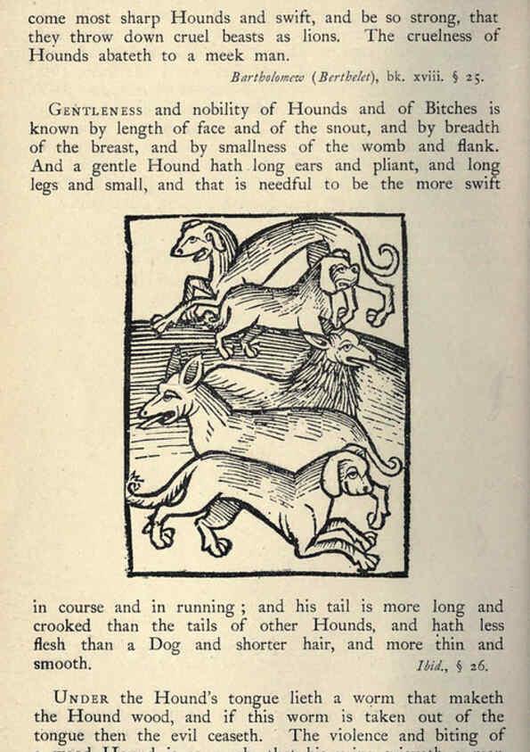 Reproducción/Reproduction 5998604531: Natural history in Shakespeare's time London :E. Stock,1896