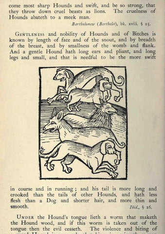 Reproducción/Reproduction 5998604531: Natural history in Shakespeare's time London :E. Stock,1896
