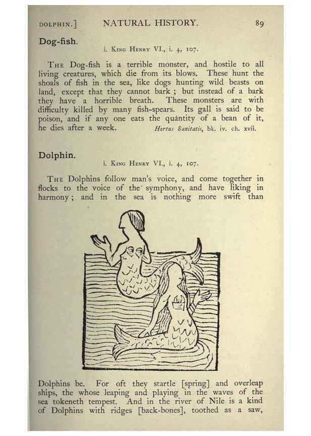 Reproducción/Reproduction 5999152144: Natural history in Shakespeare's time London :E. Stock,1896