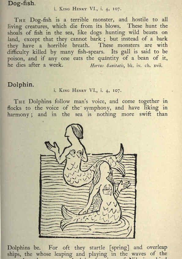 Reproducción/Reproduction 5999152144: Natural history in Shakespeare's time London :E. Stock,1896