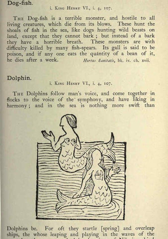 Reproducción/Reproduction 5999152144: Natural history in Shakespeare's time London :E. Stock,1896