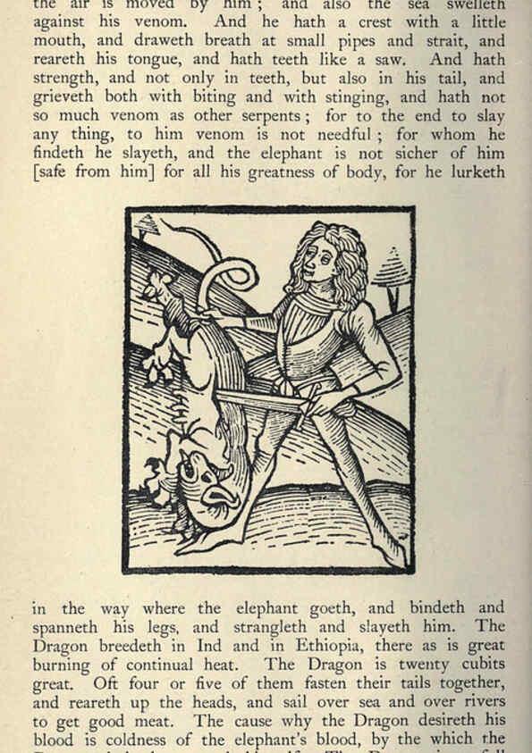 Reproducción/Reproduction 5999153498: Natural history in Shakespeare's time London :E. Stock,1896