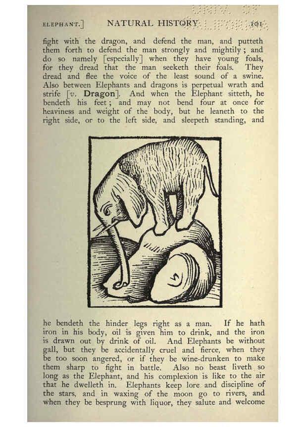 Reproducción/Reproduction 5998609111: Natural history in Shakespeare's time London :E. Stock,1896