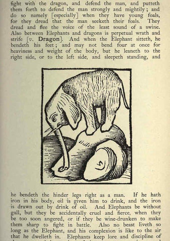 Reproducción/Reproduction 5998609111: Natural history in Shakespeare's time London :E. Stock,1896