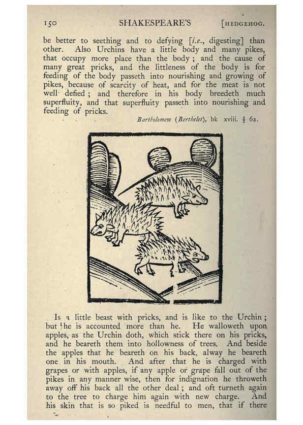Reproducción/Reproduction 5999155160: Natural history in Shakespeare's time London :E. Stock,1896