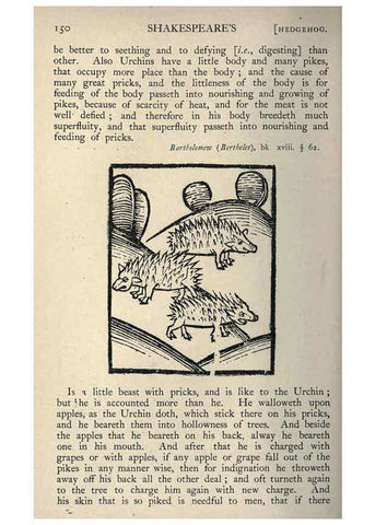 Reproducción/Reproduction 5999155160: Natural history in Shakespeare's time London :E. Stock,1896