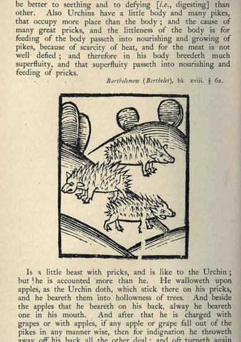Reproducción/Reproduction 5999155160: Natural history in Shakespeare's time London :E. Stock,1896
