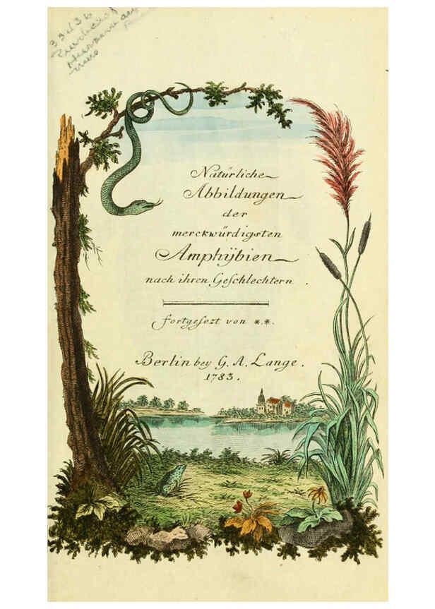Reproducción/Reproduction 5987751383: Gemeinnüzzige Naturgeschichte des Thierreichs bd. 4 plates Berlin ;bei Gottlieb August Lange,1780-1789