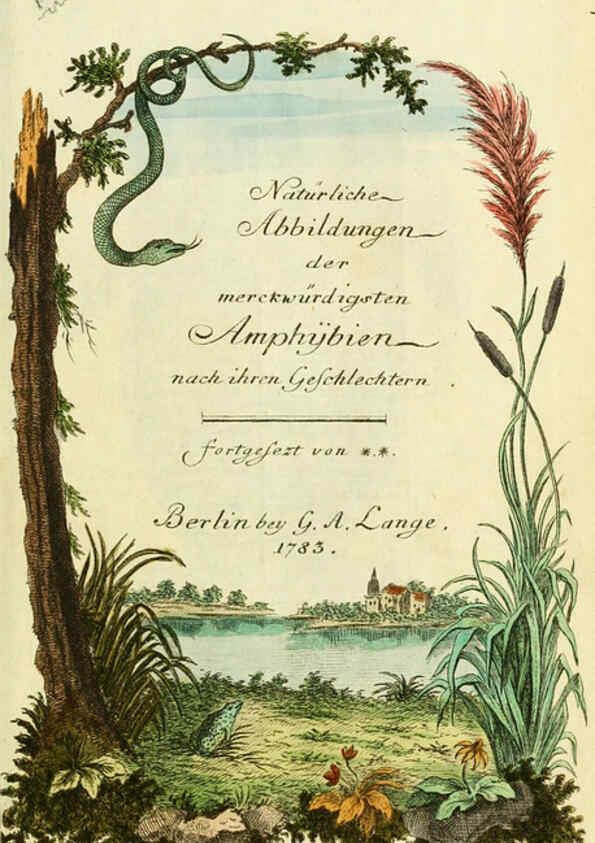 Reproducción/Reproduction 5987751383: Gemeinnüzzige Naturgeschichte des Thierreichs bd. 4 plates Berlin ;bei Gottlieb August Lange,1780-1789