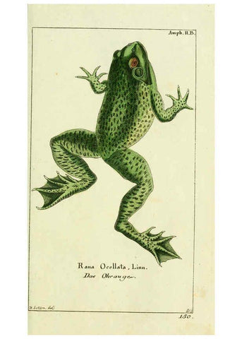 Reproducción/Reproduction 5988316480: Gemeinnüzzige Naturgeschichte des Thierreichs bd. 4 plates Berlin ;bei Gottlieb August Lange,1780-1789