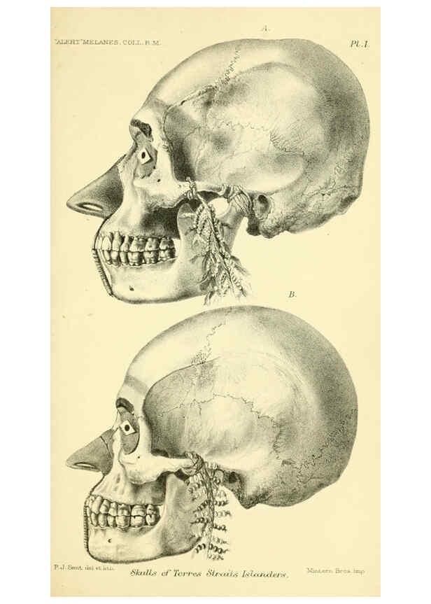 Reproducción/Reproduction 5987488395: Report on the zoological collections made in the Indo-Pacific Ocean during the voyage of H.M.S. 'Alert' 1881-2. London :Printed by order of the Trustees,1884