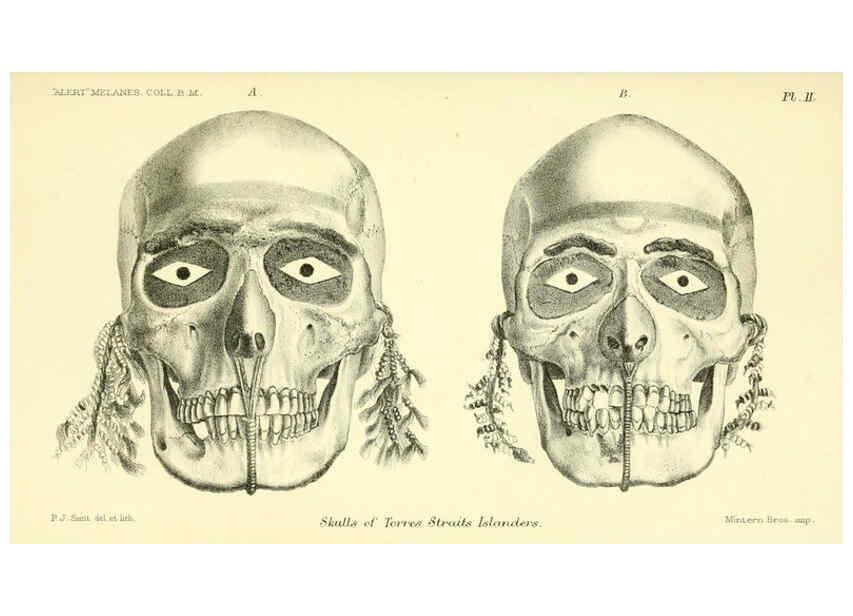 Reproducción/Reproduction 5987488621: Report on the zoological collections made in the Indo-Pacific Ocean during the voyage of H.M.S. 'Alert' 1881-2. London :Printed by order of the Trustees,1884