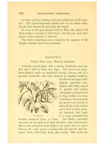 Reproducción/Reproduction 6002099421: The field and garden vegetables of America Boston,Crosby and Nichols,1863