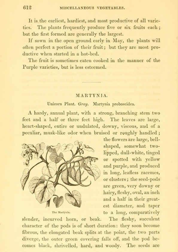 Reproducción/Reproduction 6002099421: The field and garden vegetables of America Boston,Crosby and Nichols,1863