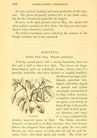 Reproducción/Reproduction 6002099421: The field and garden vegetables of America Boston,Crosby and Nichols,1863