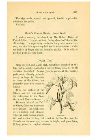 Reproducción/Reproduction 6002099787: The field and garden vegetables of America Boston,Crosby and Nichols,1863