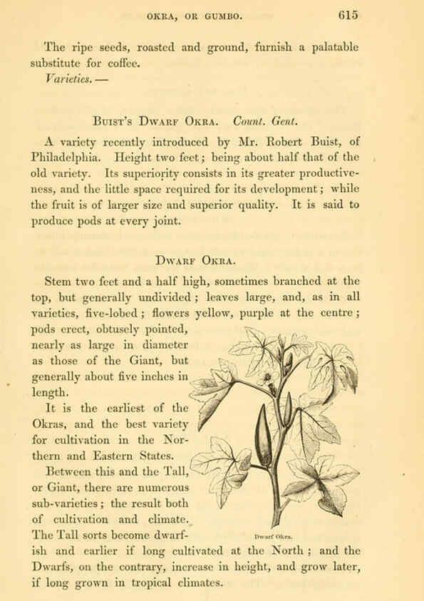 Reproducción/Reproduction 6002099787: The field and garden vegetables of America Boston,Crosby and Nichols,1863