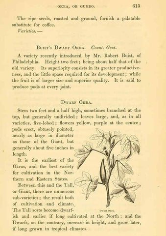 Reproducción/Reproduction 6002099787: The field and garden vegetables of America Boston,Crosby and Nichols,1863