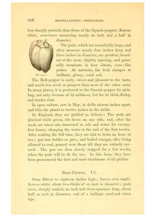 Reproducción/Reproduction 6002100111: The field and garden vegetables of America Boston,Crosby and Nichols,1863