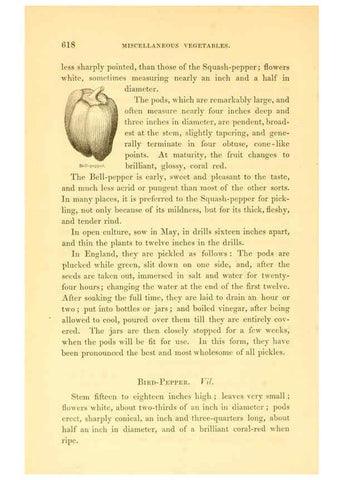 Reproducción/Reproduction 6002100111: The field and garden vegetables of America Boston,Crosby and Nichols,1863