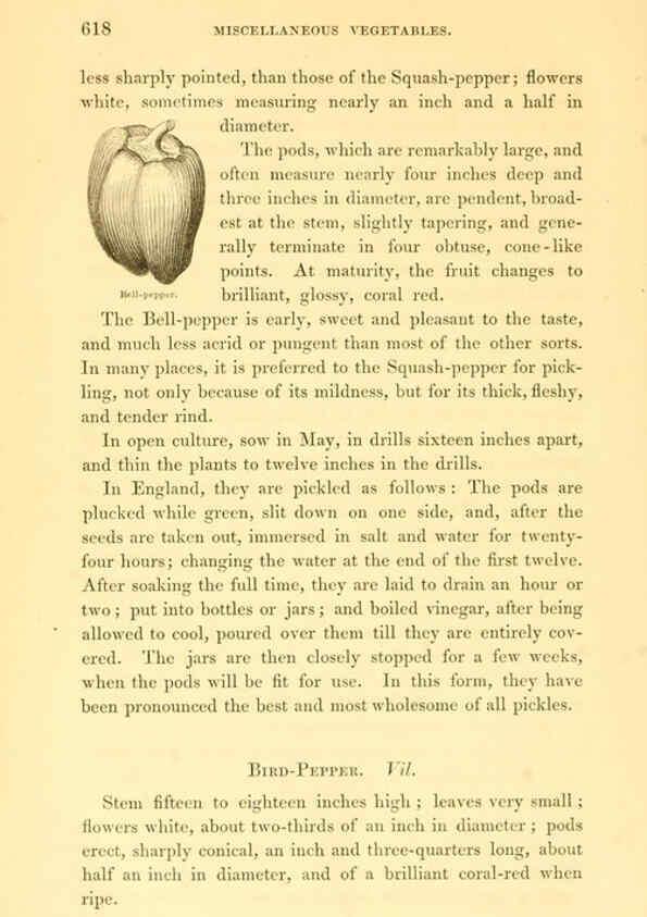 Reproducción/Reproduction 6002100111: The field and garden vegetables of America Boston,Crosby and Nichols,1863