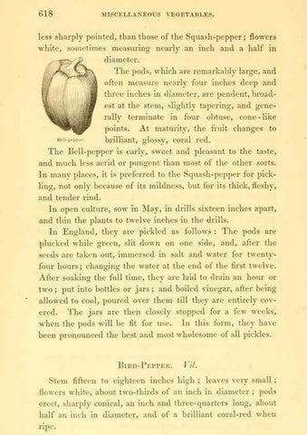 Reproducción/Reproduction 6002100111: The field and garden vegetables of America Boston,Crosby and Nichols,1863