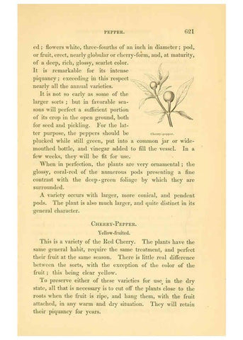 Reproducción/Reproduction 6002647412: The field and garden vegetables of America Boston,Crosby and Nichols,1863