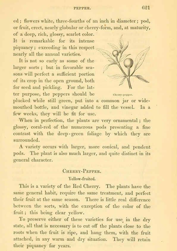 Reproducción/Reproduction 6002647412: The field and garden vegetables of America Boston,Crosby and Nichols,1863