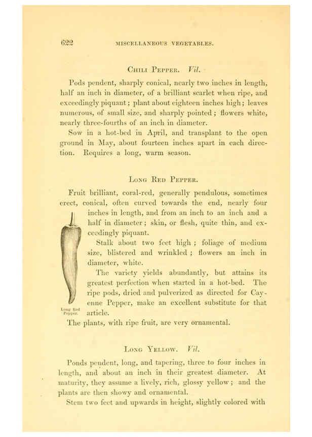 Reproducción/Reproduction 6002647810: The field and garden vegetables of America Boston,Crosby and Nichols,1863