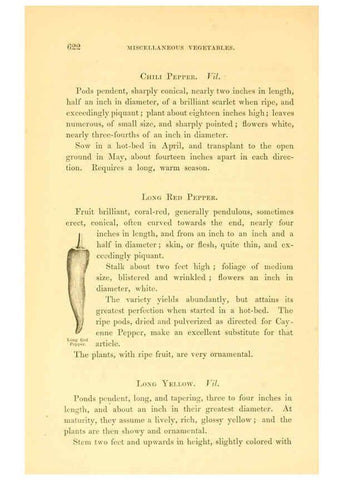 Reproducción/Reproduction 6002647810: The field and garden vegetables of America Boston,Crosby and Nichols,1863