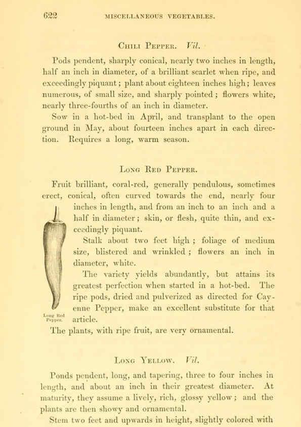 Reproducción/Reproduction 6002647810: The field and garden vegetables of America Boston,Crosby and Nichols,1863