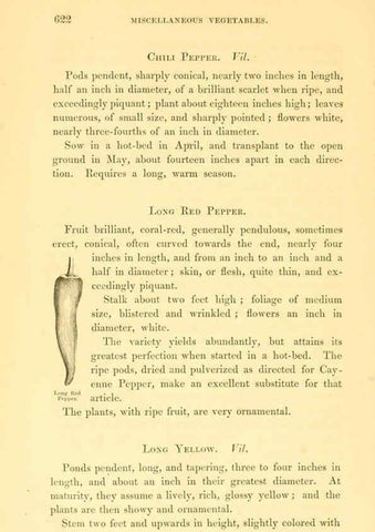 Reproducción/Reproduction 6002647810: The field and garden vegetables of America Boston,Crosby and Nichols,1863