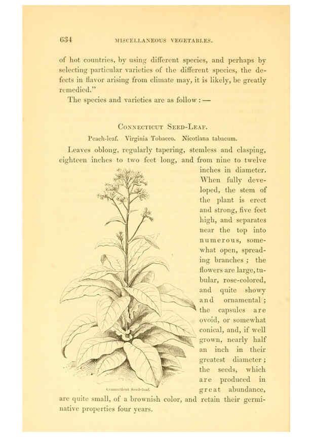 Reproducción/Reproduction 6002648104: The field and garden vegetables of America Boston,Crosby and Nichols,1863