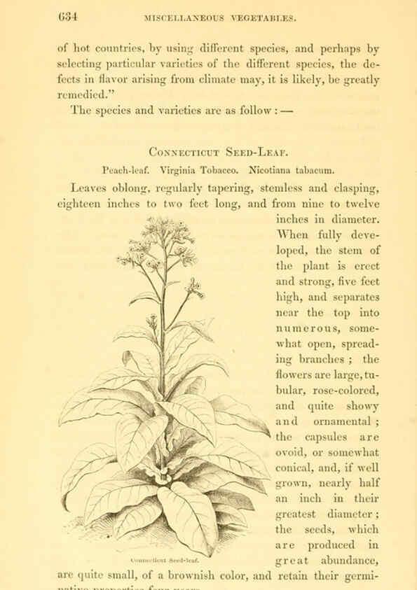 Reproducción/Reproduction 6002648104: The field and garden vegetables of America Boston,Crosby and Nichols,1863
