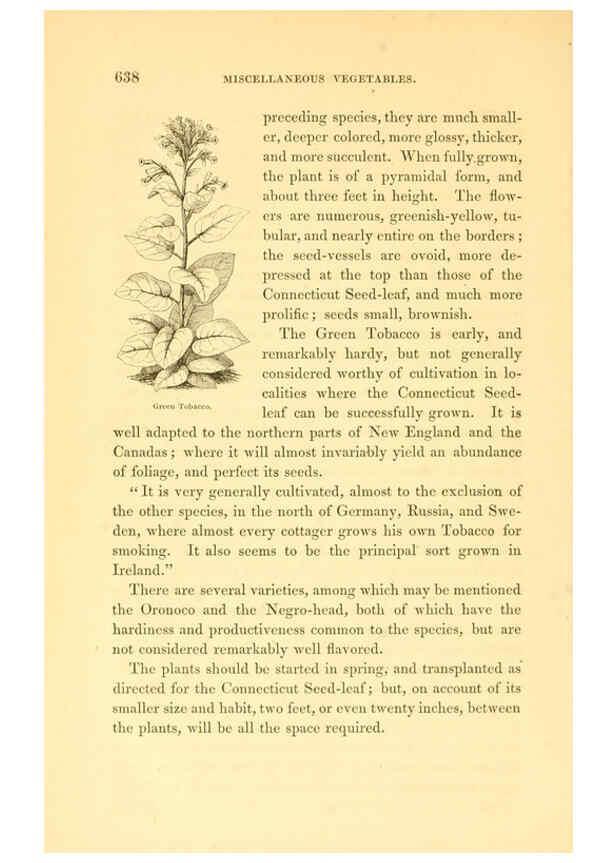 Reproducción/Reproduction 6002648696: The field and garden vegetables of America Boston,Crosby and Nichols,1863