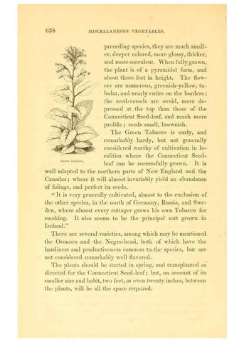 Reproducción/Reproduction 6002648696: The field and garden vegetables of America Boston,Crosby and Nichols,1863