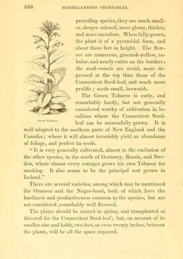 Reproducción/Reproduction 6002648696: The field and garden vegetables of America Boston,Crosby and Nichols,1863