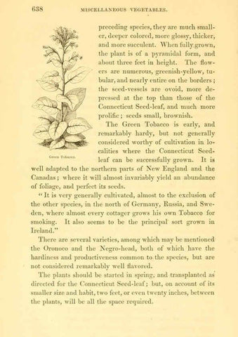 Reproducción/Reproduction 6002648696: The field and garden vegetables of America Boston,Crosby and Nichols,1863