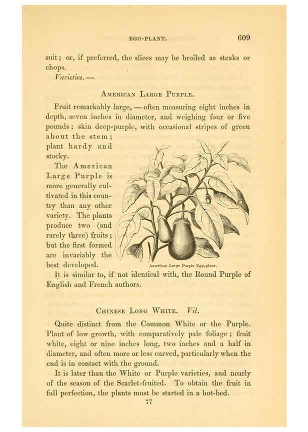 Reproducción/Reproduction 6002646044: The field and garden vegetables of America Boston,Crosby and Nichols,1863