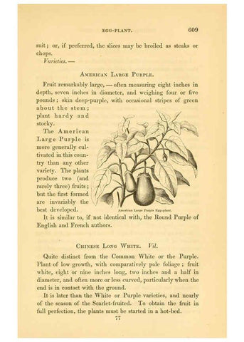 Reproducción/Reproduction 6002646044: The field and garden vegetables of America Boston,Crosby and Nichols,1863