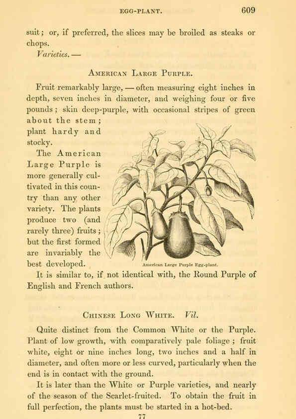 Reproducción/Reproduction 6002646044: The field and garden vegetables of America Boston,Crosby and Nichols,1863