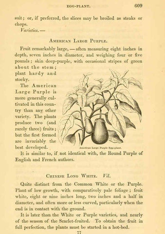 Reproducción/Reproduction 6002646044: The field and garden vegetables of America Boston,Crosby and Nichols,1863