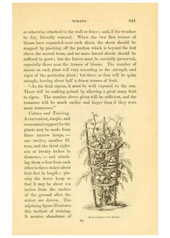 Reproducción/Reproduction 6002102041: The field and garden vegetables of America Boston,Crosby and Nichols,1863