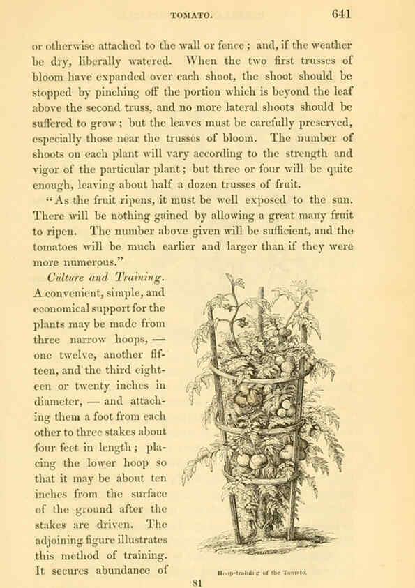 Reproducción/Reproduction 6002102041: The field and garden vegetables of America Boston,Crosby and Nichols,1863