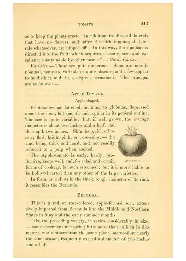 Reproducción/Reproduction 6002102767: The field and garden vegetables of America Boston,Crosby and Nichols,1863
