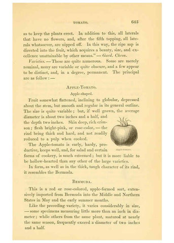 Reproducción/Reproduction 6002102767: The field and garden vegetables of America Boston,Crosby and Nichols,1863