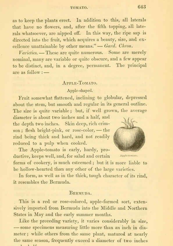 Reproducción/Reproduction 6002102767: The field and garden vegetables of America Boston,Crosby and Nichols,1863
